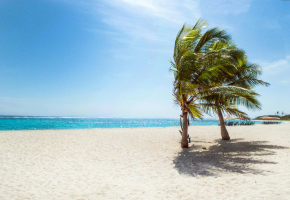 Services-02 Services 02